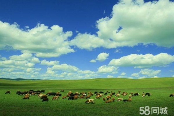 赤峰同城粘磚電話號碼查詢-第1張圖片