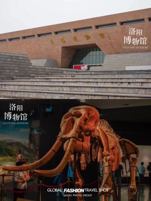 赤峰林西鹿肉店電話號碼多少-第1張圖片