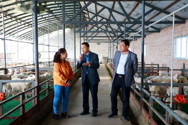 內(nèi)蒙赤峰食用油工廠電話號(hào)碼-第1張圖片