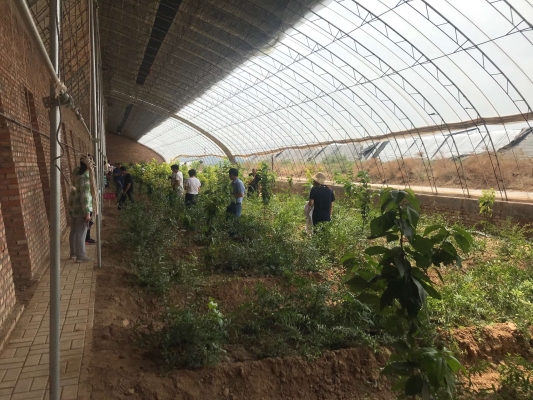 赤峰二手水果電話多少啊-第1張圖片