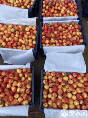 赤峰天山養(yǎng)殖場電話多少號-第1張圖片