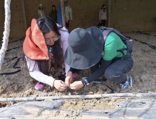 赤峰楚東生態(tài)園的電話號碼-第1張圖片