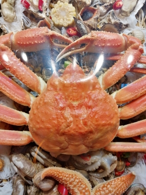 赤峰海鮮大咖包間電話號(hào)碼多少-第1張圖片