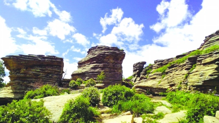 赤峰書店七彩城店電話號(hào)碼-第1張圖片