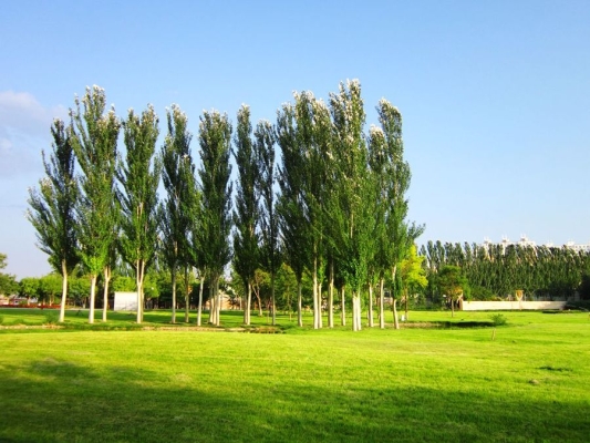 赤峰伊合園餐館電話多少號-第1張圖片