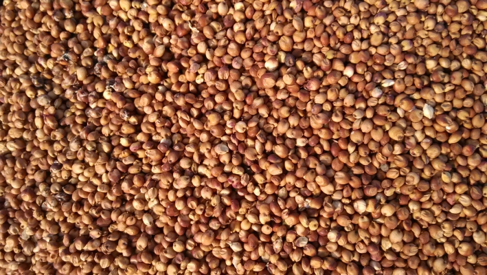 赤峰紙板供應(yīng)商電話號碼查詢-第1張圖片