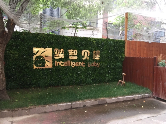 赤峰路附近早教班電話號(hào)碼-第1張圖片