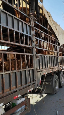 赤峰林西縣電纜回收電話號(hào)碼-第1張圖片