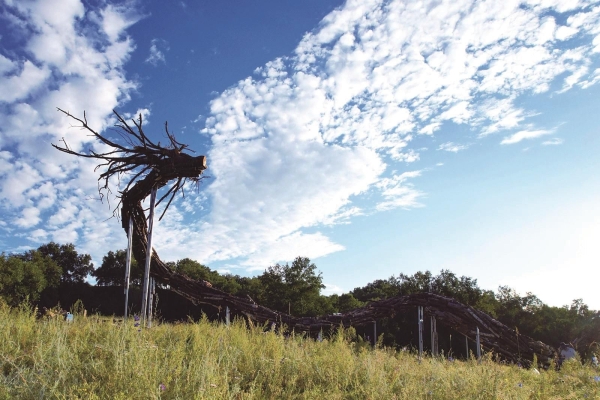 赤峰彬承商貿(mào)公司地址電話號碼-第1張圖片