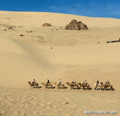 內(nèi)蒙赤峰送養(yǎng)狗電話號(hào)碼是多少-第1張圖片