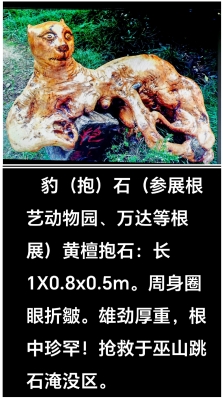 赤峰市根雕擺件廠家電話號碼-第1張圖片