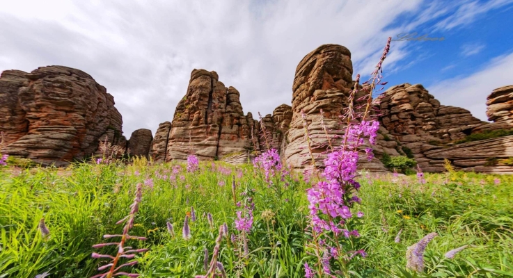 赤峰阿旗紋眉店電話號(hào)碼多少-第1張圖片