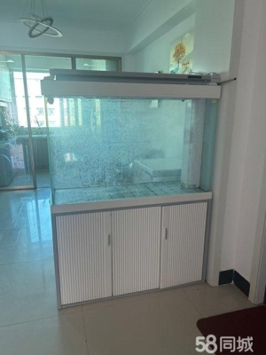 赤峰市定制魚缸廠家電話號(hào)碼-第1張圖片