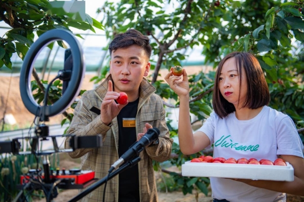 赤峰草莓團(tuán)購電話地址是多少號-第1張圖片