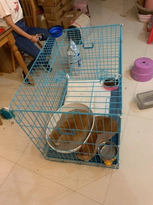 赤峰送水貓地址查詢電話號碼-第1張圖片