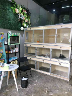 赤峰剪毛狗狗團(tuán)購電話號碼查詢-第1張圖片