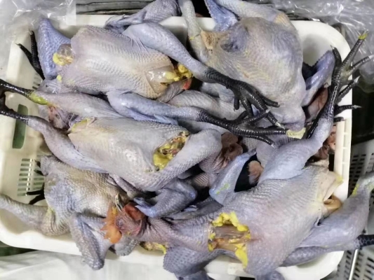 赤峰市冰鮮配送公司電話號碼-第1張圖片