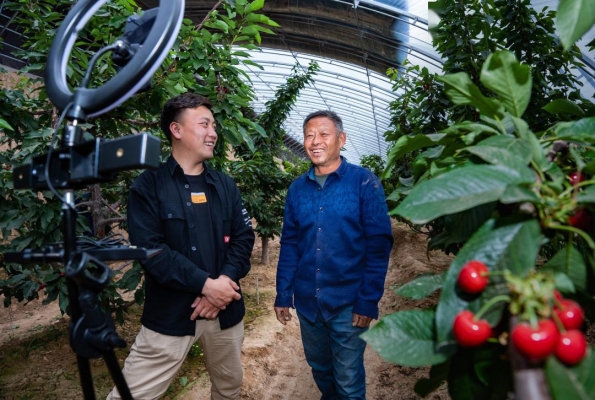赤峰車?yán)遄臃N植基地電話號(hào)碼-第1張圖片