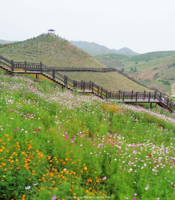 赤峰心景花海地址電話號碼-第1張圖片