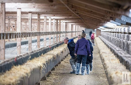 赤峰水貂養(yǎng)殖廠電話號(hào)碼查詢-第1張圖片