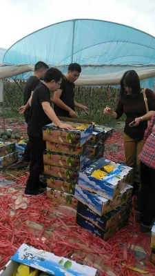 赤峰富河園水果超市電話號(hào)碼-第1張圖片