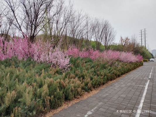 赤峰橋北公園游樂(lè)場(chǎng)電話號(hào)碼-第1張圖片