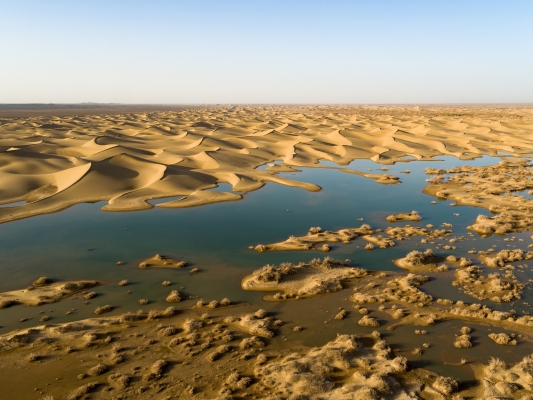 赤峰翁旗鞭炮專賣店電話號碼-第1張圖片