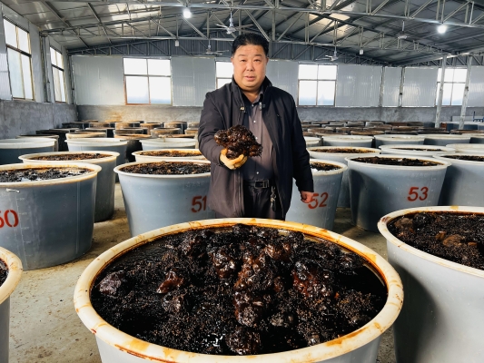 赤峰市咸菜廠家電話地址查詢-第1張圖片