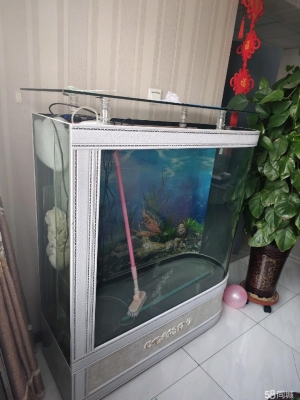 赤峰二手魚缸同城網(wǎng)電話號(hào)碼-第1張圖片