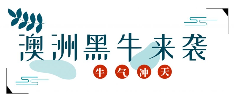 赤峰黑?？救獾觌娫捥柎a-第1張圖片