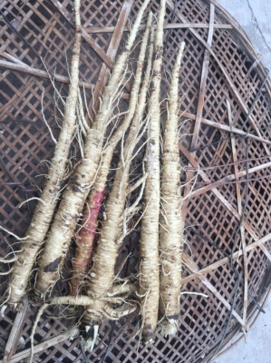 赤峰麻記熏雞地址-第1張圖片