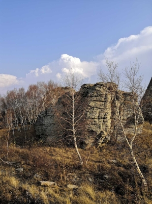 赤峰馬料批發(fā)市場電話號碼-第1張圖片