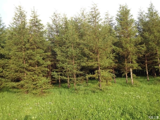 赤峰盛程汽修廠(chǎng)電話(huà)地址查詢(xún)-第1張圖片