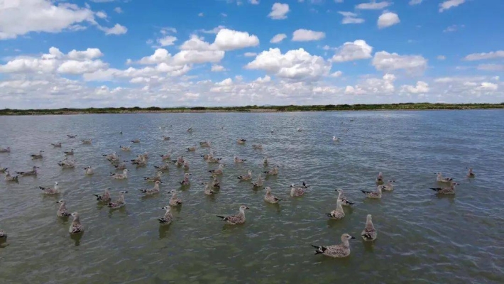 赤峰鑫鑫駕校直播間電話號(hào)碼-第1張圖片