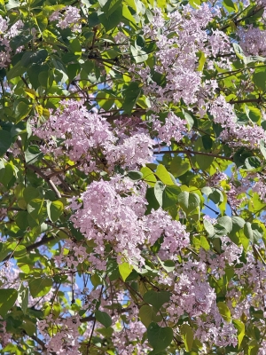 赤峰市丁香百麗家具電話號(hào)碼-第1張圖片