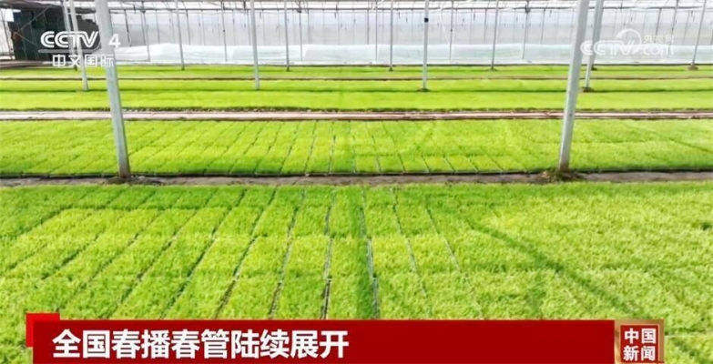 赤峰海帶工廠地址電話號碼查詢-第1張圖片