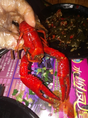 赤峰老炮兒音樂烤吧電話地址-第1張圖片