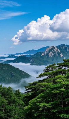 赤峰千嬌百媚ktv電話號(hào)碼-第1張圖片