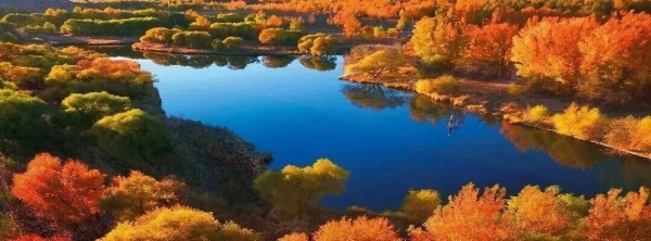 赤峰修傘的店鋪電話號碼是多少-第1張圖片