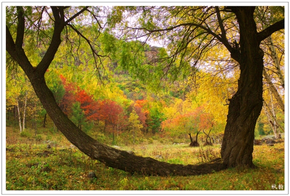 赤峰美林鎮(zhèn)旺業(yè)甸社區(qū)電話號碼-第1張圖片
