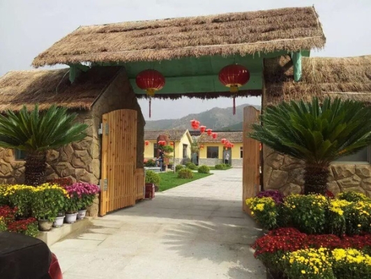 赤峰仿真茅草廠家電話多少號-第1張圖片