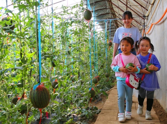 赤峰市采摘西瓜的地方電話號碼-第1張圖片