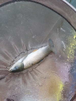 赤峰三座店釣魚地址電話號(hào)碼-第1張圖片