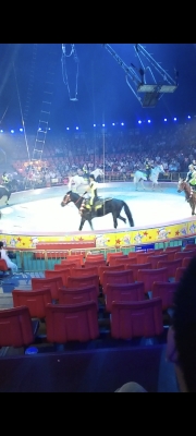 赤峰東郊馬戲團(tuán)電話號(hào)碼多少-第1張圖片