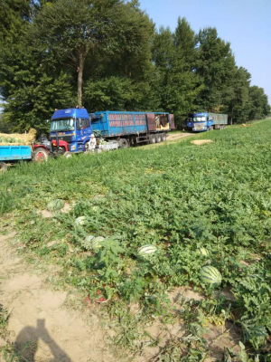 赤峰市橋頭鎮(zhèn)政府電話號碼-第1張圖片