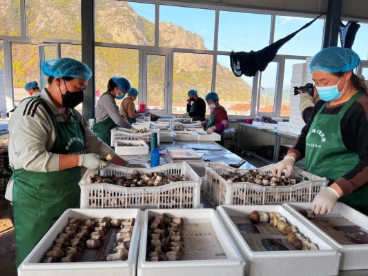 赤峰速凍品經(jīng)銷商電話地址查詢-第1張圖片