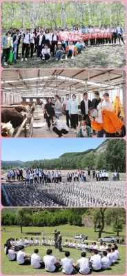 赤峰澤佳臺球館電話號碼多少-第1張圖片