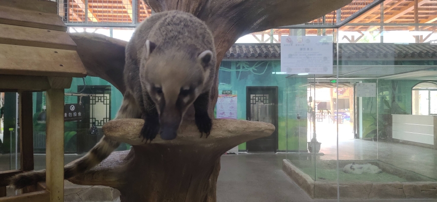 赤峰市清河源洗浴中心電話號碼-第1張圖片