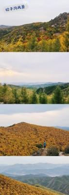 鳳城到赤峰私家車電話號(hào)碼-第1張圖片