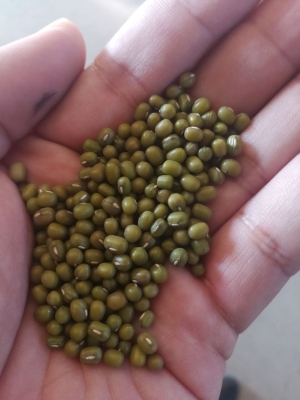 赤峰4級顆粒板廠家電話號碼-第1張圖片